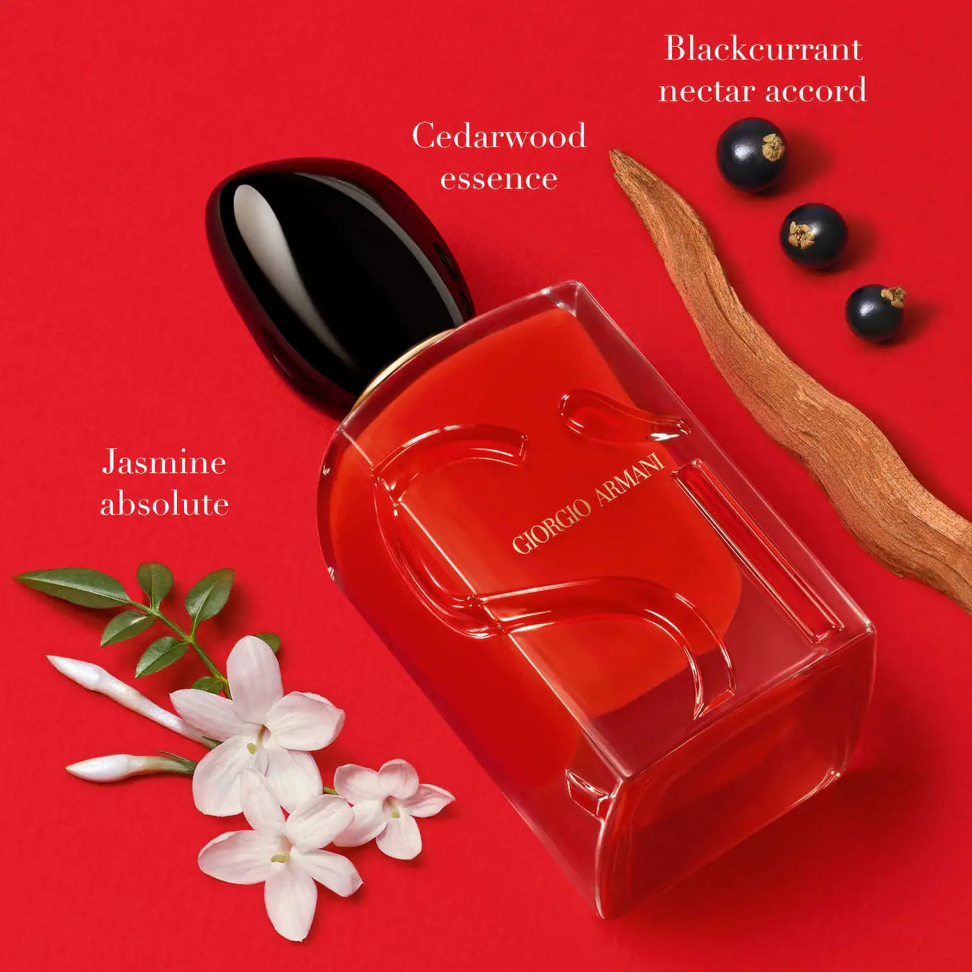 Armani Si (Passione)