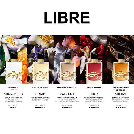 YSL Libre (كل الأنواع)