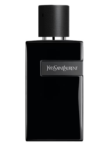 YSL Y (EDP/Le Parfum)