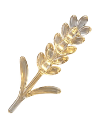 الافتتاحية